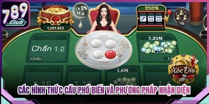 Các hình thức cầu phổ biến và phương pháp nhận diện chi tiết