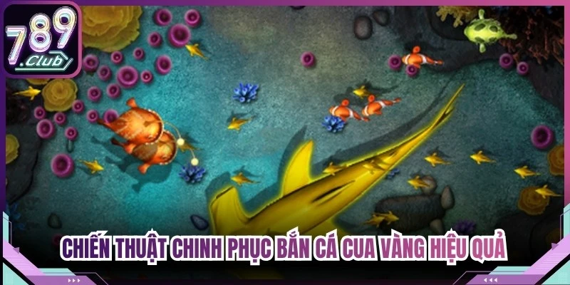 Chiến thuật chinh phục bắn cá cua vàng hiệu quả từ cao thủ